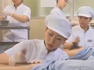 Japonesa enfermera trabajando peluda pájaro carpintero